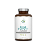Bone support